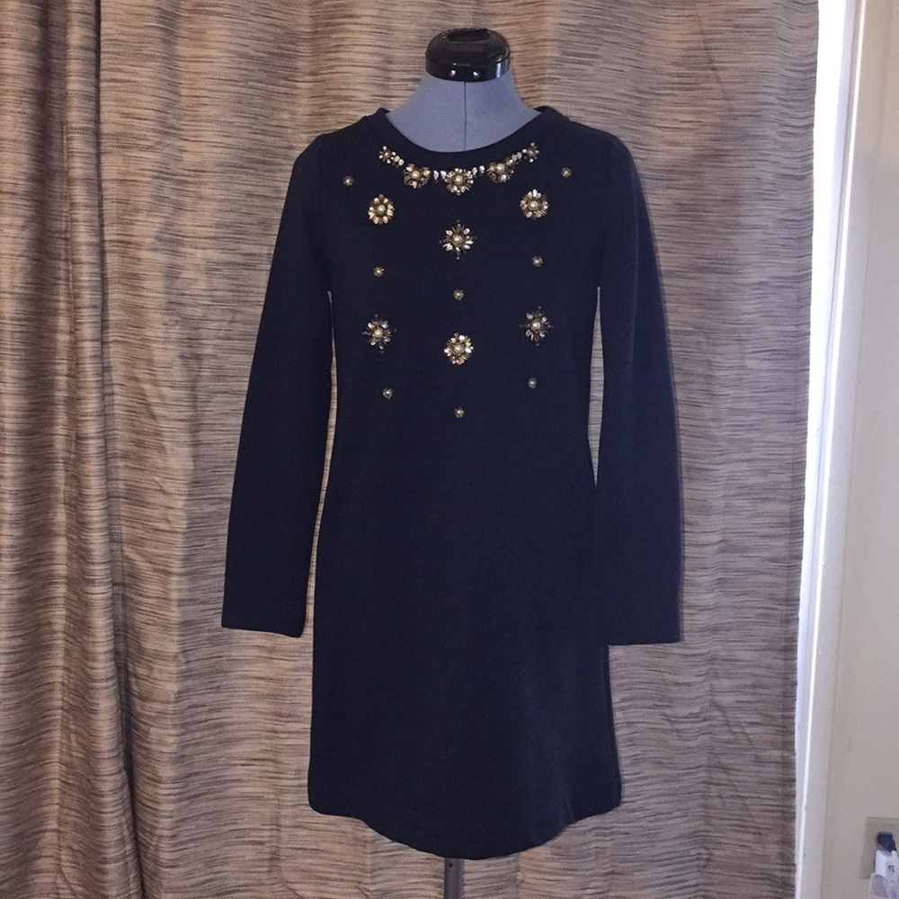 Long Sleeve Beaded Dress